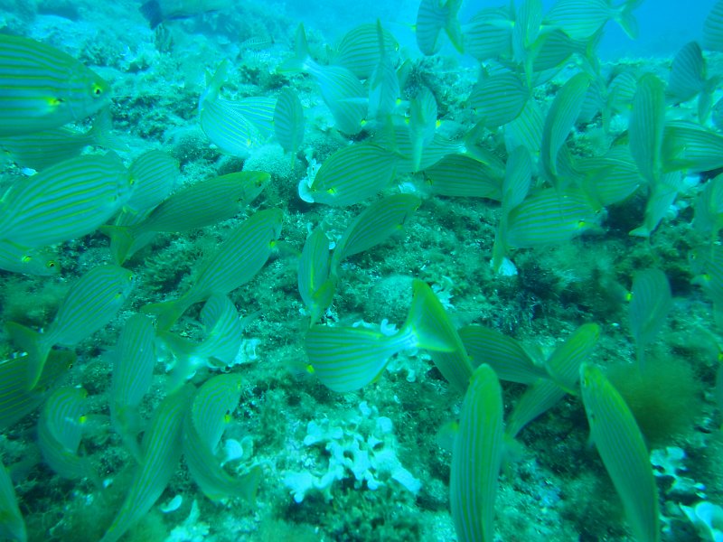 2014-09-13 12-57-57.JPG